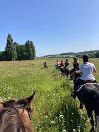 paardrijden Ferme equestre l'Idalgo in Condéon